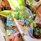Hang In There Suncatcher