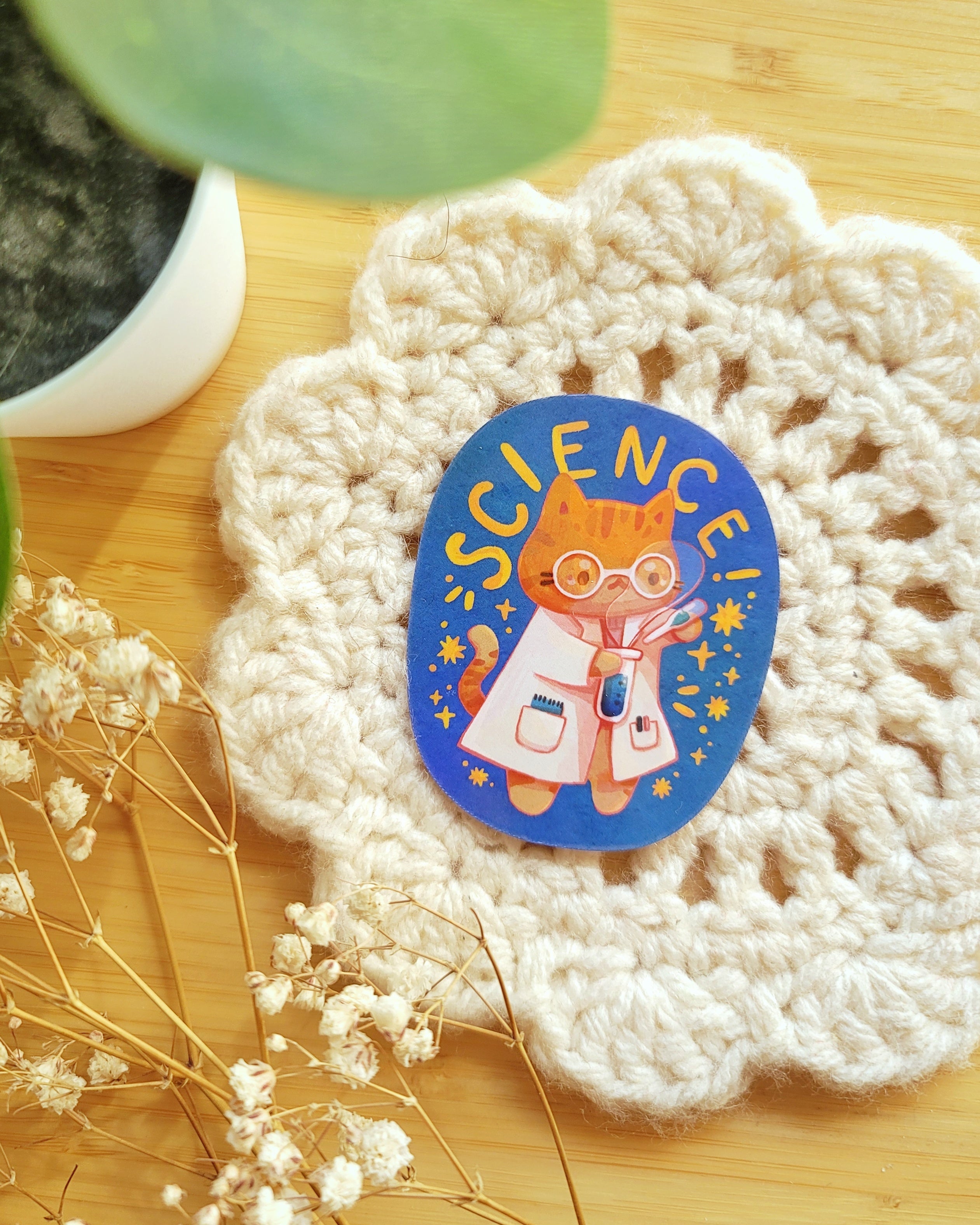 Science Star Sticker Round Science! Vinyl Sticker – ccsartcafe